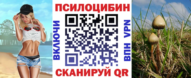 Галлюциногенные грибы Cubensis  Верхняя Салда 